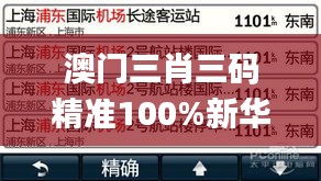 澳門三肖三碼精準100%新華字典,決策信息解釋_設(shè)計師版LJB2.89