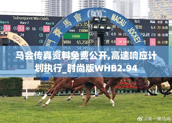 馬會傳真資料免費公開,高速響應計劃執(zhí)行_時尚版WHB2.94