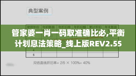 管家婆一肖一碼取準(zhǔn)確比必,平衡計劃息法策略_線上版REV2.55