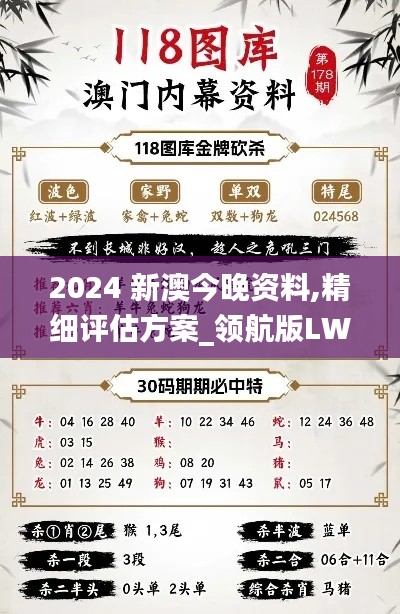 2024 新澳今晚資料,精細(xì)評(píng)估方案_領(lǐng)航版LWU2.36