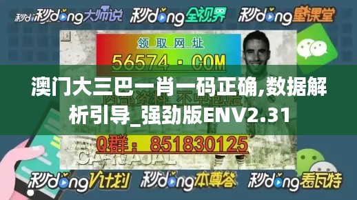 澳門大三巴一肖一碼正確,數據解析引導_強勁版ENV2.31