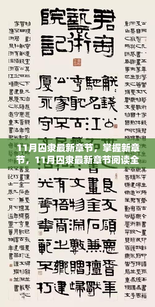 11月囚隸最新章節(jié)全攻略，掌握新章節(jié)閱讀