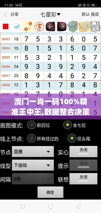 澳門一肖一碼100%精準王中王,數據整合決策_輕量版SQC2.79