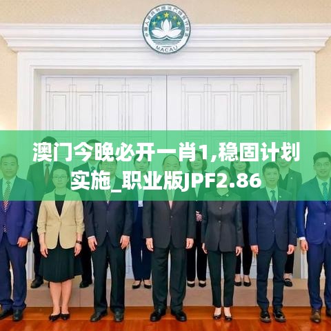 澳門今晚必開一肖1,穩(wěn)固計(jì)劃實(shí)施_職業(yè)版JPF2.86
