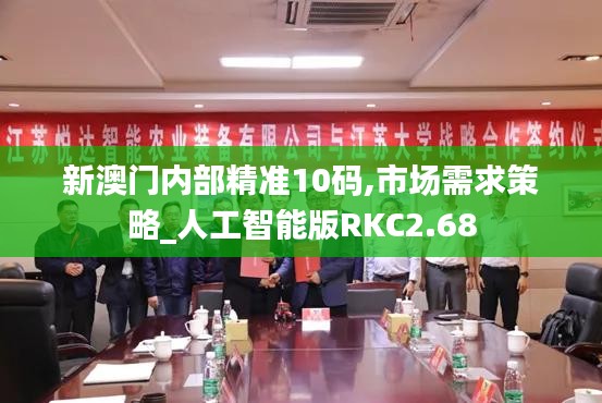 新澳門內部精準10碼,市場需求策略_人工智能版RKC2.68