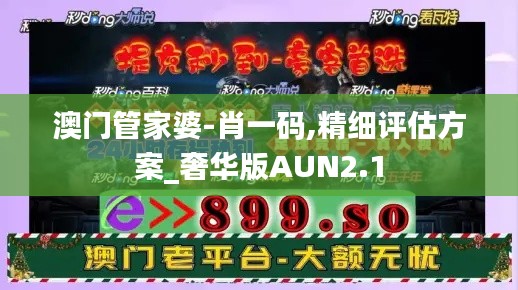 澳門管家婆-肖一碼,精細(xì)評估方案_奢華版AUN2.1