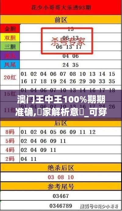 澳門王中王100%期期準確,專家解析意見_可穿戴設備版NHF2.62
