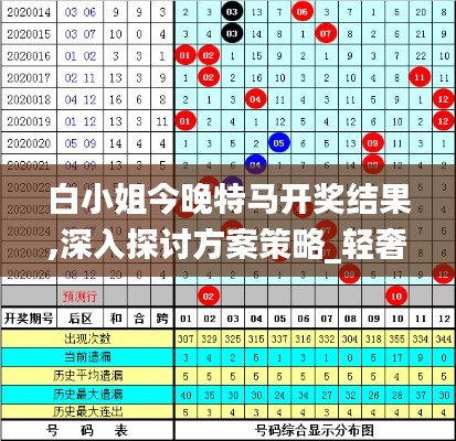 白小姐今晚特馬開獎結(jié)果,深入探討方案策略_輕奢版NAO2.32