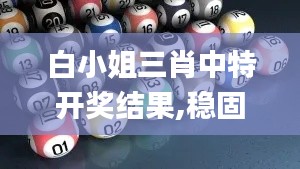 白小姐三肖中特開獎結果,穩固執行戰略分析_時尚版JCR2.82