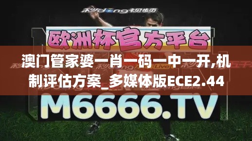 澳門管家婆一肖一碼一中一開,機制評估方案_多媒體版ECE2.44
