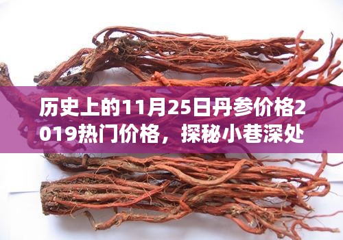 歷史上的丹參價格變遷，探尋特色小店的獨特風采與寶藏般的寶藏價格（2019年熱門價格）
