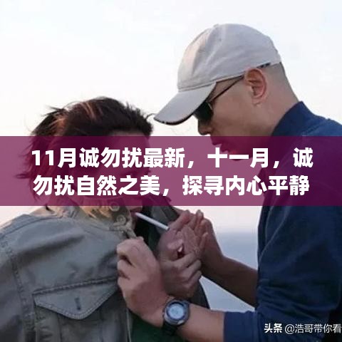 十一月自然之美探尋之旅，誠勿擾的內(nèi)心平靜奇妙之旅