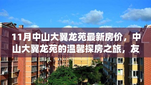 中山大翼龍?jiān)纷钚路績(jī)r(jià)揭秘，探房之旅與理想家園的奇遇