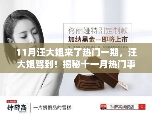 揭秘十一月熱門事件背后的故事，汪大姐駕到！