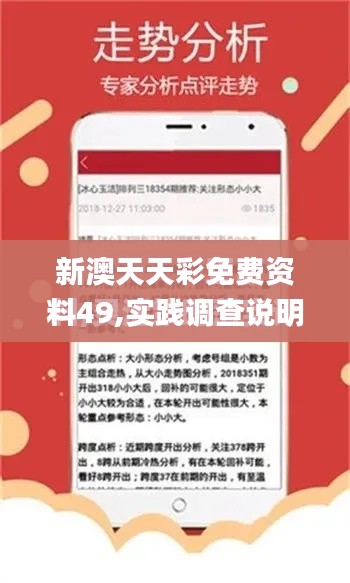 新澳天天彩免費(fèi)資料49,實(shí)踐調(diào)查說明_體驗(yàn)式版本BRI9.62