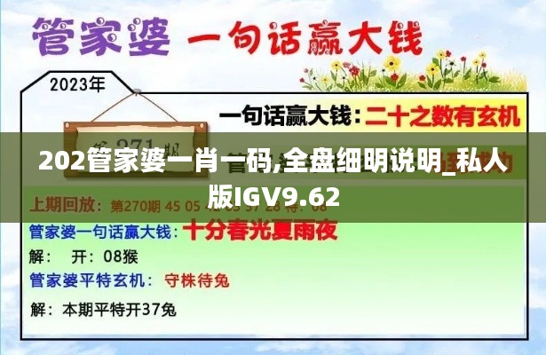 202管家婆一肖一碼,全盤細明說明_私人版IGV9.62