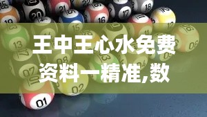 王中王心水免費資料一精準,數據管理策略_本地版LYT9.86