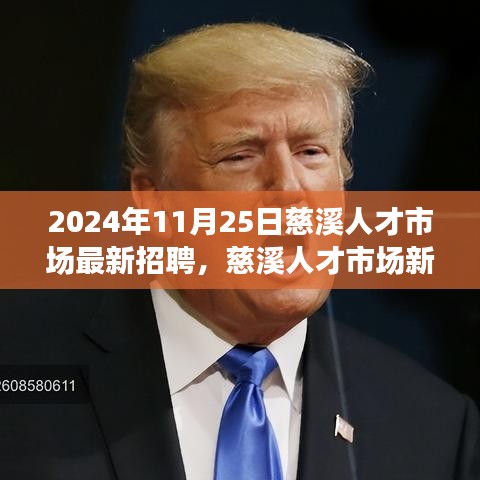 慈溪人才市場最新招聘，探尋內心寧靜與力量的新篇章（2024年11月25日）
