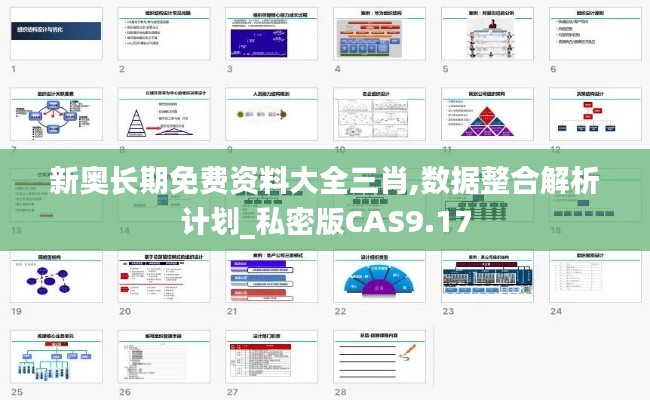 新奧長期免費資料大全三肖,數據整合解析計劃_私密版CAS9.17