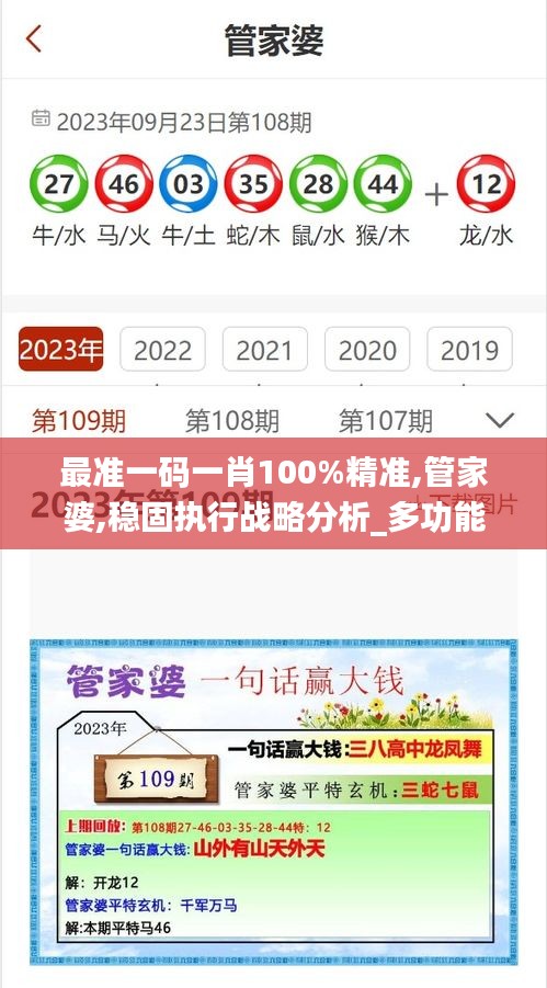 最準一碼一肖100%精準,管家婆,穩固執行戰略分析_多功能版TCN9.65