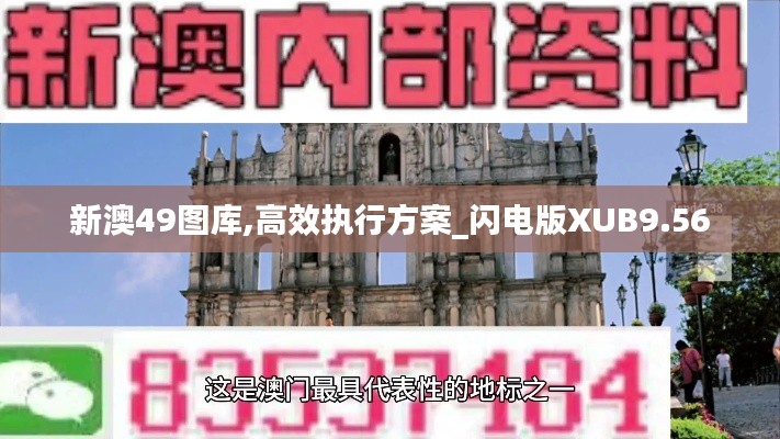 新澳49圖庫,高效執(zhí)行方案_閃電版XUB9.56