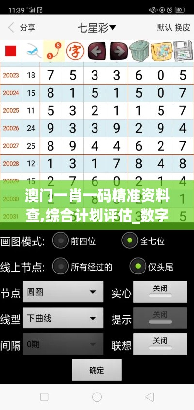 澳門一肖一碼精準資料查,綜合計劃評估_數(shù)字版UEU9.10