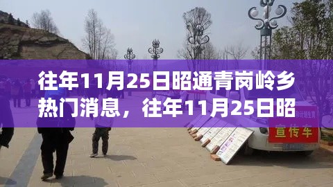 往年11月25日昭通青崗嶺鄉(xiāng)熱門消息深度解析，特性、體驗(yàn)、競(jìng)品對(duì)比與用戶洞察