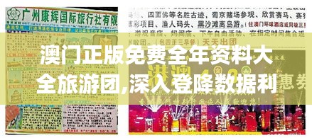 澳門正版免費全年資料大全旅游團,深入登降數(shù)據(jù)利用_妹妹版XGW9.34