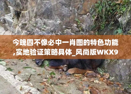 今晚四不像必中一肖圖的特色功能,實地驗證策略具體_風尚版WKX9.46