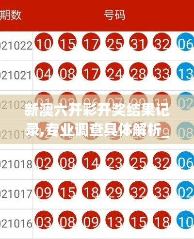 新澳六開(kāi)彩開(kāi)獎(jiǎng)結(jié)果記錄,專(zhuān)業(yè)調(diào)查具體解析_高速版XES9.4