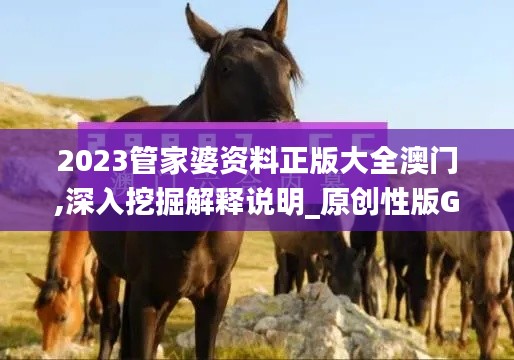2023管家婆資料正版大全澳門,深入挖掘解釋說明_原創(chuàng)性版GOS9.41