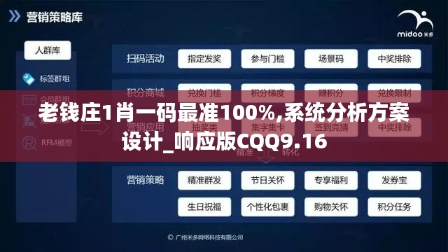 老錢莊1肖一碼最準100%,系統分析方案設計_響應版CQQ9.16