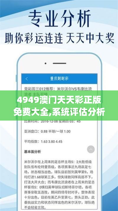 4949澳門(mén)天天彩正版免費(fèi)大全,系統(tǒng)評(píng)估分析_獲取版RMJ9.71