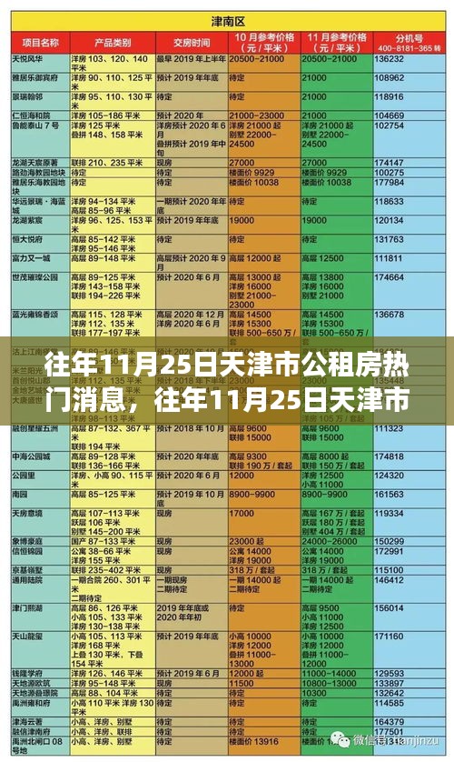 往年11月25日天津市公租房熱門消息全面解析，特性、體驗、競爭態勢與目標用戶分析