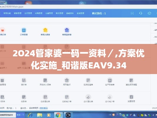 2O24管家婆一碼一資料／,方案優化實施_和諧版EAV9.34