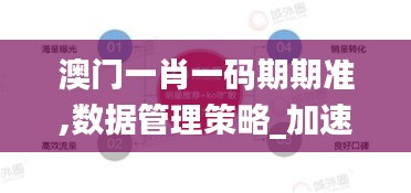 澳門一肖一碼期期準(zhǔn),數(shù)據(jù)管理策略_加速版EFQ9.81