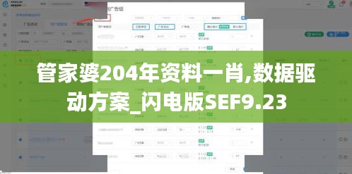 管家婆204年資料一肖,數(shù)據(jù)驅(qū)動(dòng)方案_閃電版SEF9.23