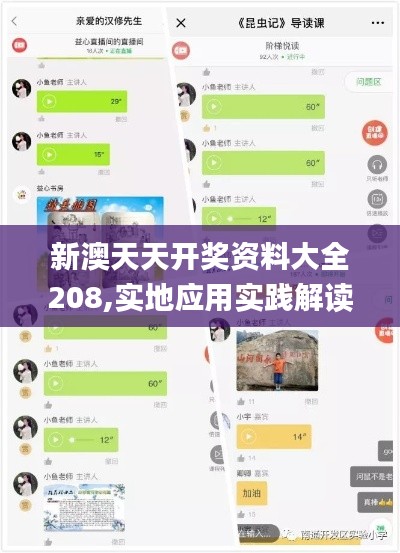 新澳天天開獎資料大全208,實地應(yīng)用實踐解讀_結(jié)合版YAZ9.8