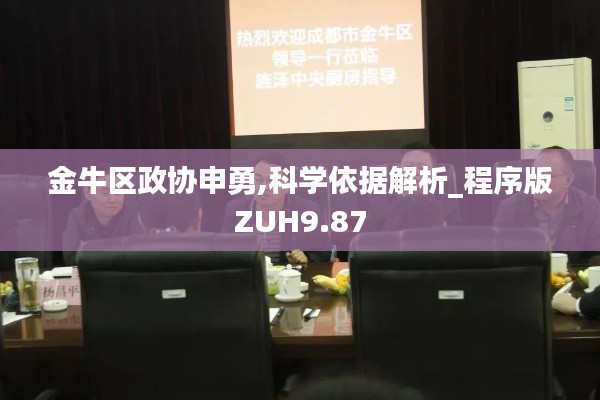 金牛區(qū)政協(xié)申勇,科學(xué)依據(jù)解析_程序版ZUH9.87
