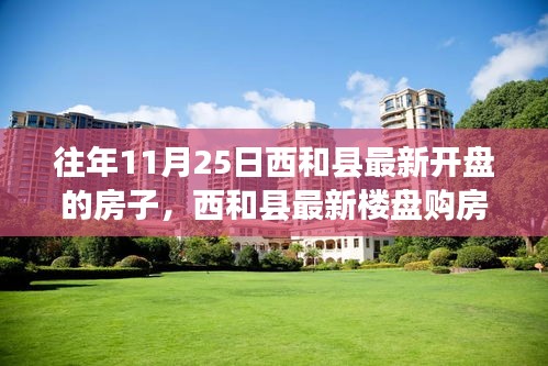 西和縣最新樓盤購房攻略，如何順利購買往年11月25日新開樓盤攻略及最新房源信息解讀