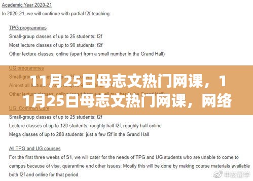 母志文熱門網課，網絡教育的雙刃劍效應探討