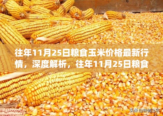 往年11月25日糧食玉米價格深度解析與全面評測報告