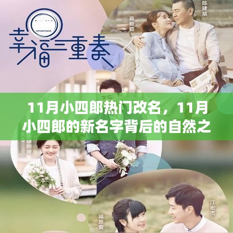 11月小四郎的新名字之旅，自然探索與心靈冒險(xiǎn)的交融