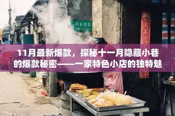 揭秘十一月隱藏小巷爆款秘密，特色小店的獨特魅力