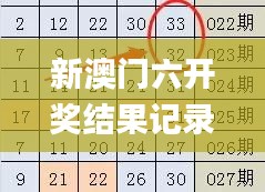 新澳門(mén)六開(kāi)獎(jiǎng)結(jié)果記錄,詳細(xì)數(shù)據(jù)解讀_連續(xù)版UIT9.51