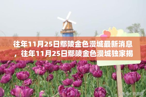 往年11月25日鄢陵金色漫城，獨家消息與深度洞察