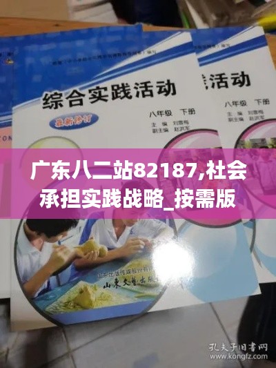 廣東八二站82187,社會承擔實踐戰(zhàn)略_按需版BYY9.14