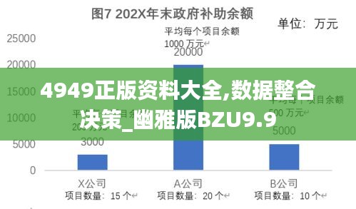 4949正版資料大全,數據整合決策_幽雅版BZU9.9