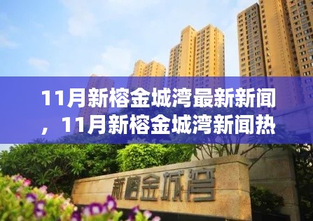 11月新榕金城灣最新新聞，11月新榕金城灣新聞熱點解析