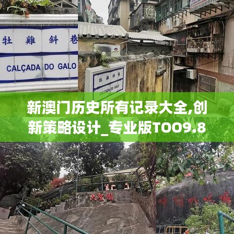 新澳門歷史所有記錄大全,創(chuàng)新策略設(shè)計(jì)_專業(yè)版TOO9.82